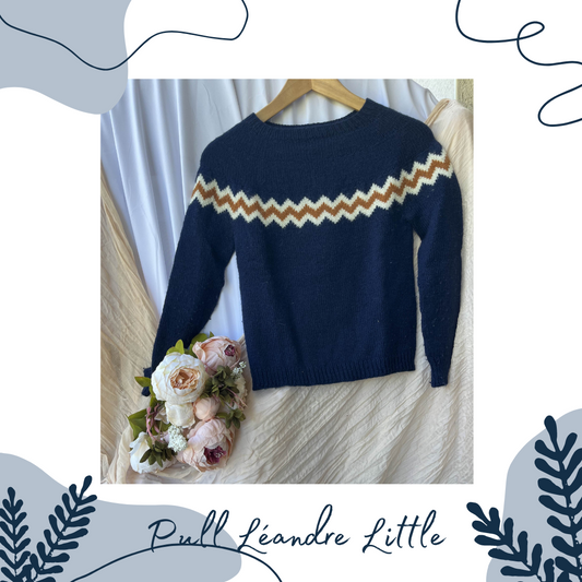 Pull Léandre (Little)