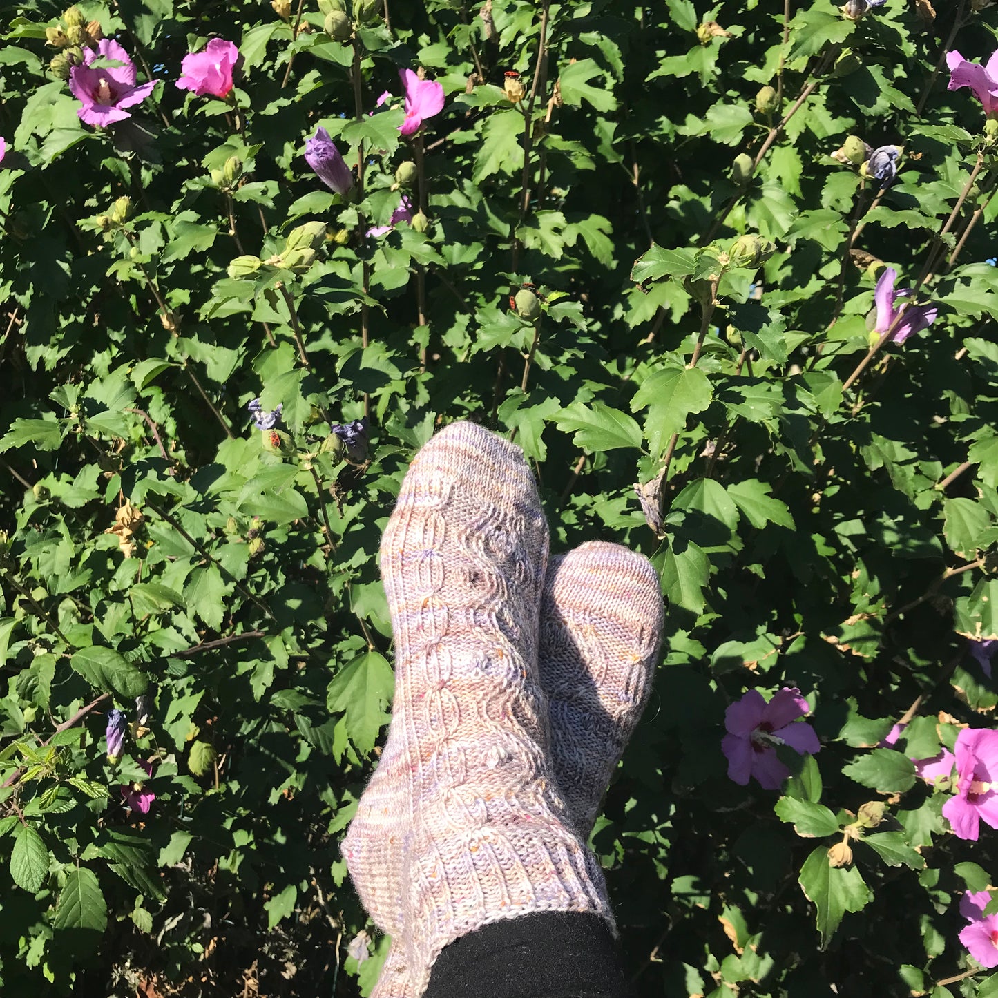 Chaussettes Jardin Secret