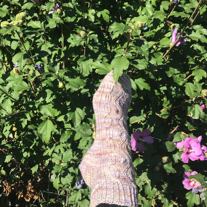 Chaussettes Jardin Secret