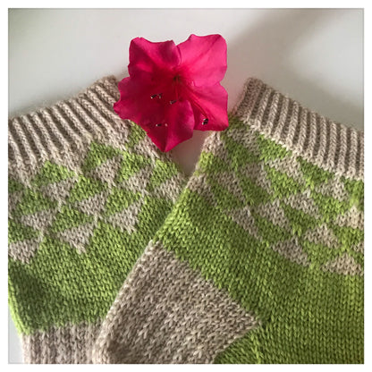 Chaussettes Augustin